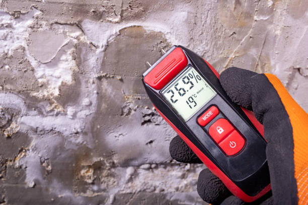 Home Mold Removal in Cordes Lakes, AZ