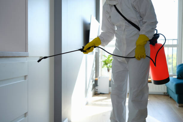 Best Office Mold Removal Services  in Cordes Lakes, AZ