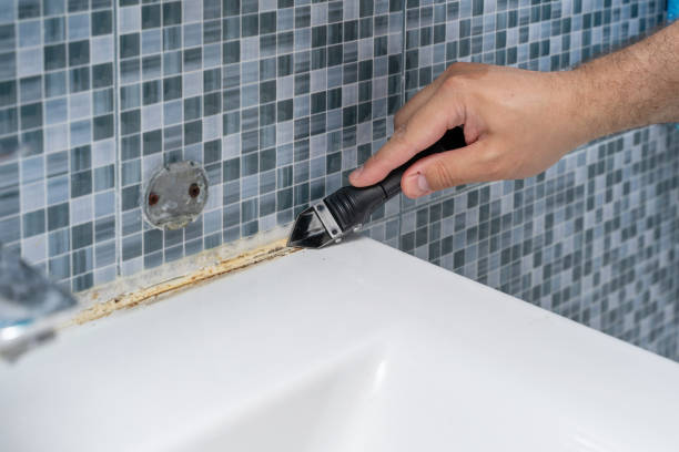 Best Toxic Mold Removal  in Cordes Lakes, AZ