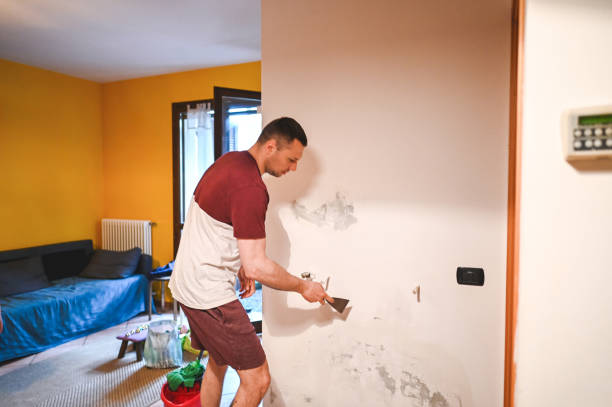 Best Same-Day Mold Removal  in Cordes Lakes, AZ